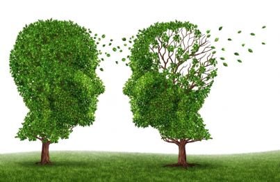 due alberi che si sfogliano concetto alzheimer