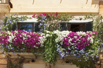 terrazzo in condominio arredato con fiori