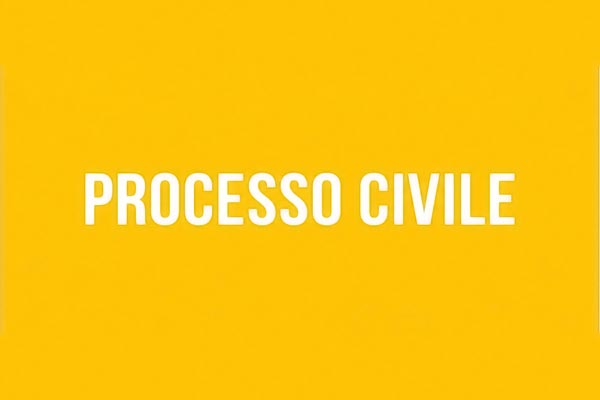 Pagina riservata agli iscritti alla newsletter per il download del testo coordinato delle modifiche al codice di procedura civile