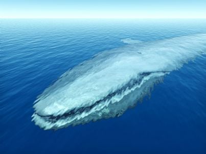 una balena blu in mare