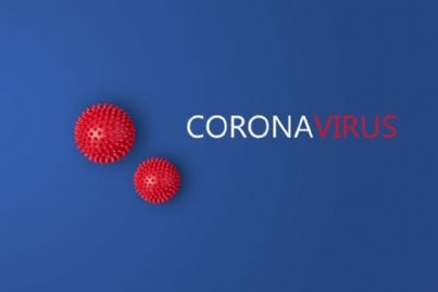 immagine sul coronavirus