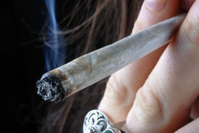 spinello cannabis droga marijuana fumo